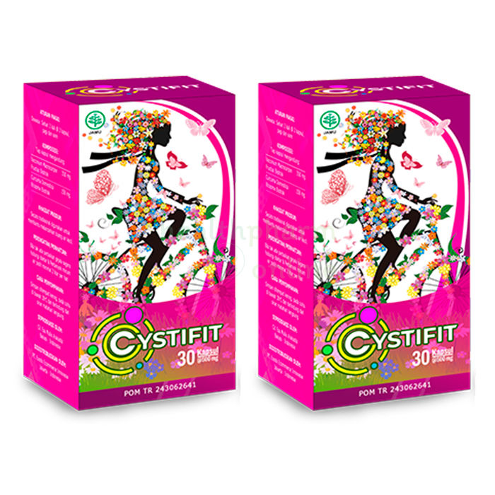 Cystifit product for the health of the genitourinary system